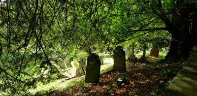 photo of several gravestones under a tree
